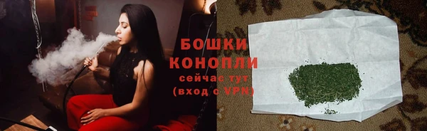 mdpv Белокуриха